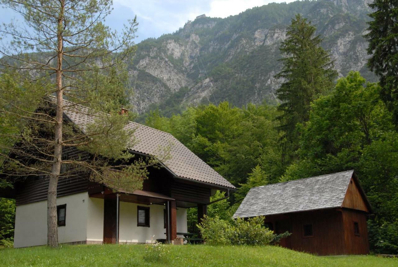 Apartmaji Zupancic Bohinj Zewnętrze zdjęcie