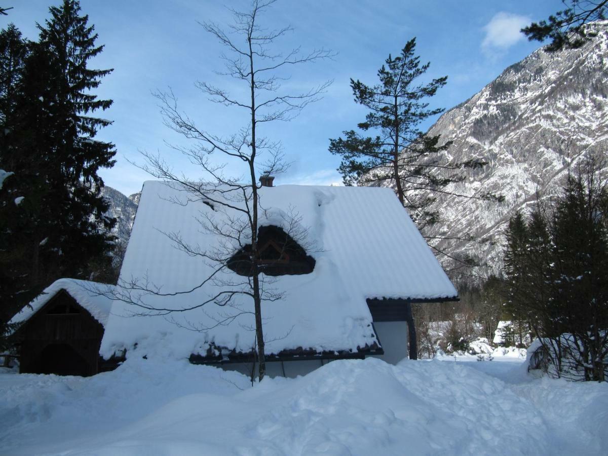 Apartmaji Zupancic Bohinj Zewnętrze zdjęcie