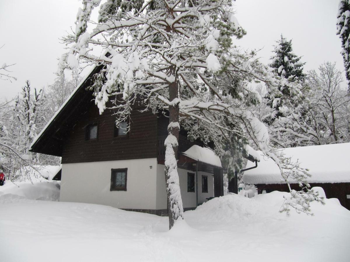 Apartmaji Zupancic Bohinj Zewnętrze zdjęcie